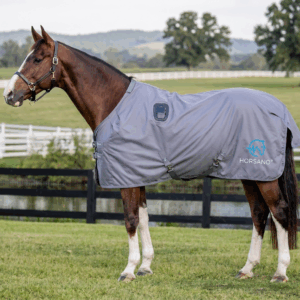 Lightweight Horsano fly sheet